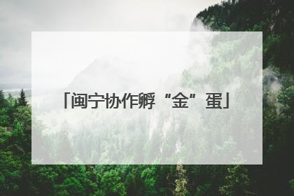 闽宁协作孵“金”蛋