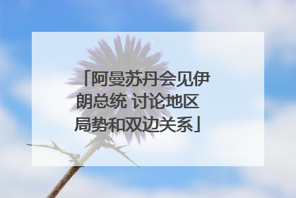 阿曼苏丹会见伊朗总统 讨论地区局势和双边关系