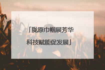 陇原巾帼展芳华 科技赋能促发展