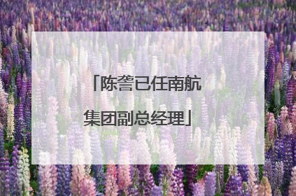 陈詟已任南航集团副总经理