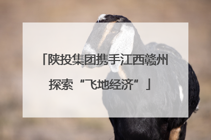 陕投集团携手江西赣州 探索“飞地经济”