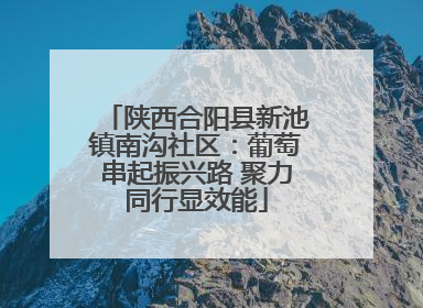 陕西合阳县新池镇南沟社区：葡萄串起振兴路 聚力同行显效能