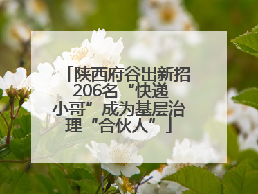 陕西府谷出新招 206名“快递小哥”成为基层治理“合伙人”