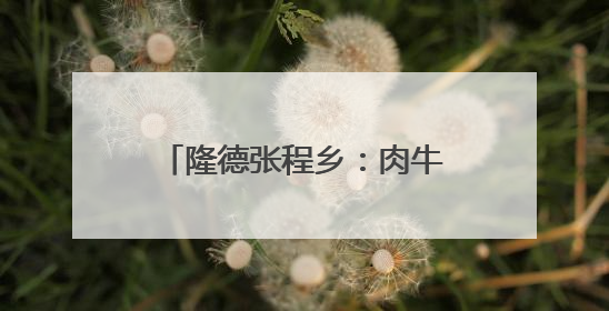 隆德张程乡：肉牛产业“牛劲”足 乡村振兴添活力