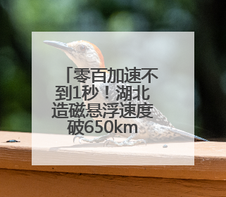 零百加速不到1秒！湖北造磁悬浮速度破650km/h，建成后武汉2小时内可抵达广州
