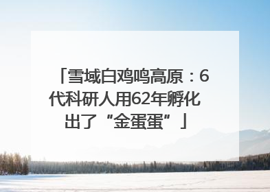 雪域白鸡鸣高原：6代科研人用62年孵化出了“金蛋蛋”