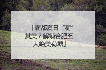 霸都夏日“荷”其美？解锁合肥五大绝美荷塘