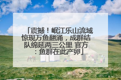 震撼！岷江乐山流域惊现万鱼翻涌，成群结队绵延两三公里 官方：鱼群在此产卵