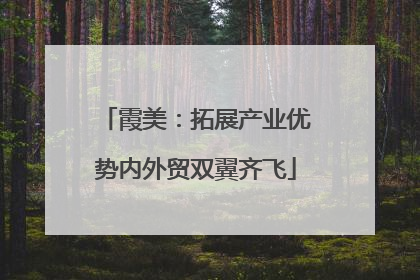 霞美：拓展产业优势内外贸双翼齐飞