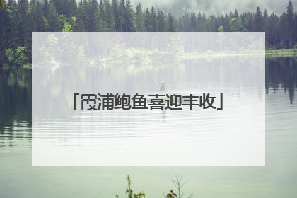 霞浦鲍鱼喜迎丰收