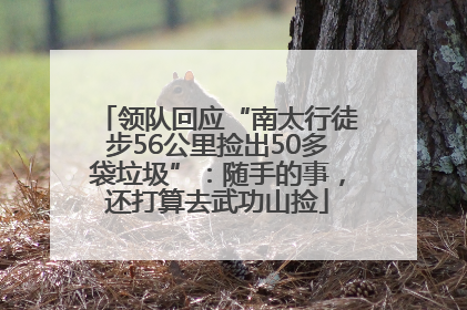 领队回应“南太行徒步56公里捡出50多袋垃圾”：随手的事，还打算去武功山捡