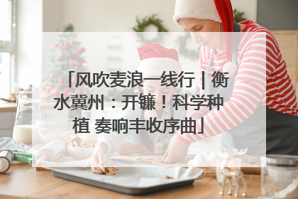 风吹麦浪一线行｜衡水冀州：开镰！科学种植 奏响丰收序曲