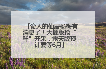 馋人的仙居杨梅有消息了！大棚版抢“鲜”开采，露天版预计要等6月