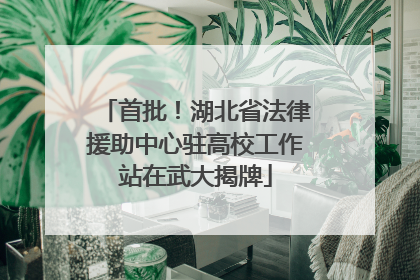 首批！湖北省法律援助中心驻高校工作站在武大揭牌
