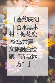 香约庆阳｜合水黑木村：梅花鹿鸵鸟共舞 文旅融合绘就“诗与远方”