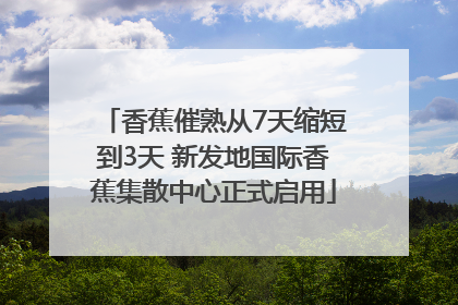 香蕉催熟从7天缩短到3天 新发地国际香蕉集散中心正式启用