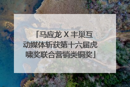马应龙 X 丰巢互动媒体斩获第十六届虎啸奖联合营销类铜奖