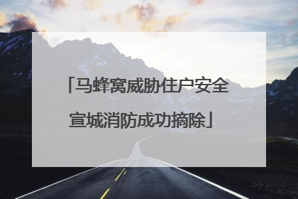 马蜂窝威胁住户安全 宣城消防成功摘除