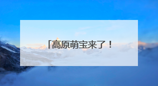 高原萌宝来了！若尔盖湿地首批黑颈鹤雏鸟破壳