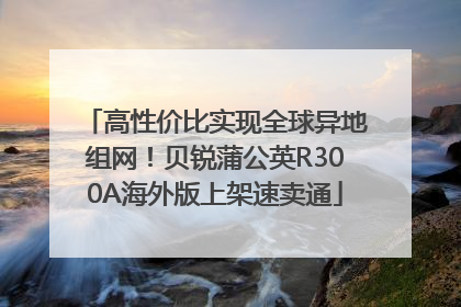 高性价比实现全球异地组网！贝锐蒲公英R300A海外版上架速卖通