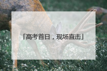 高考首日，现场直击