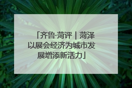 齐鲁·菏评｜菏泽以展会经济为城市发展增添新活力