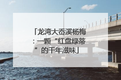 龙湾大岙溪杨梅：一颗“红盘绿蒂”的千年滋味