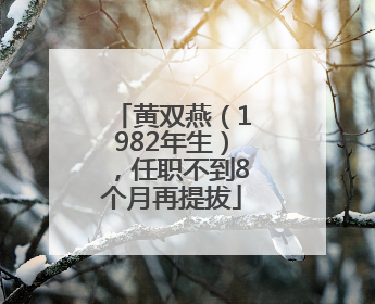 黄双燕（1982年生），任职不到8个月再提拔