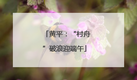 黄平：“村舟”破浪迎端午