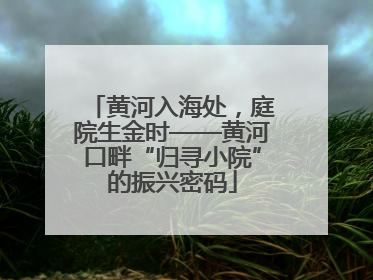 黄河入海处，庭院生金时——黄河口畔“归寻小院”的振兴密码
