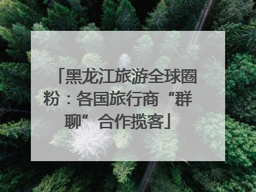 黑龙江旅游全球圈粉：各国旅行商“群聊”合作揽客