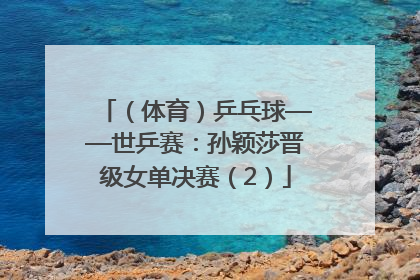 （体育）乒乓球——世乒赛：孙颖莎晋级女单决赛（2）