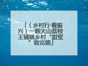 （乡村行·看振兴）一颗火山荔枝王铺就乡村“甜蜜”致富路