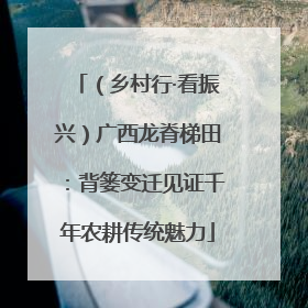 （乡村行·看振兴）广西龙脊梯田：背篓变迁见证千年农耕传统魅力