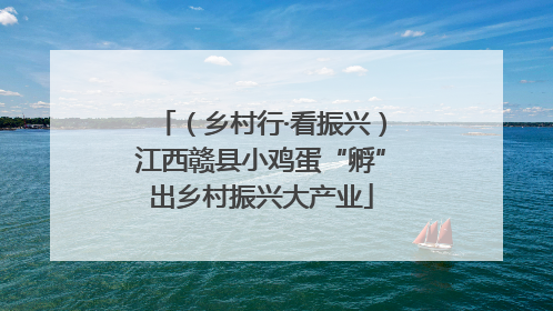 （乡村行·看振兴）江西赣县小鸡蛋“孵”出乡村振兴大产业