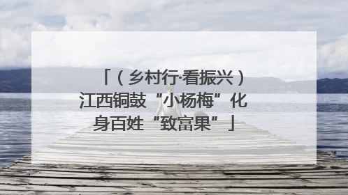 （乡村行·看振兴）江西铜鼓“小杨梅”化身百姓“致富果”