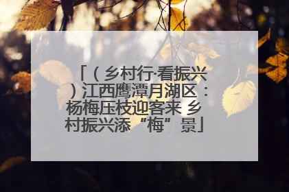 （乡村行·看振兴）江西鹰潭月湖区：杨梅压枝迎客来 乡村振兴添“梅”景