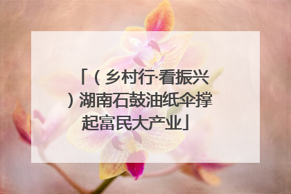 （乡村行·看振兴）湖南石鼓油纸伞撑起富民大产业
