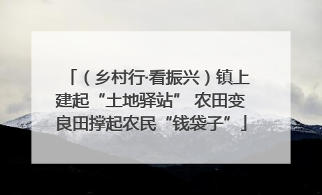 （乡村行·看振兴）镇上建起“土地驿站” 农田变良田撑起农民“钱袋子”