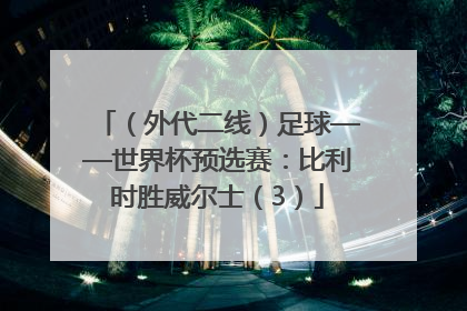 （外代二线）足球——世界杯预选赛：比利时胜威尔士（3）