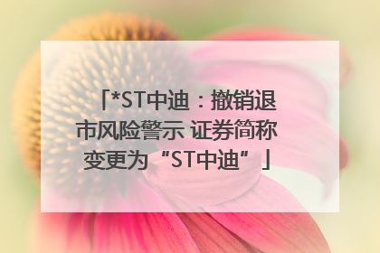 *ST中迪：撤销退市风险警示 证券简称变更为“ST中迪”