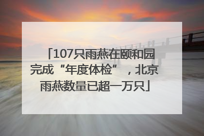 107只雨燕在颐和园完成“年度体检”，北京雨燕数量已超一万只