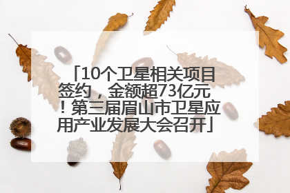 10个卫星相关项目签约，金额超73亿元！第三届眉山市卫星应用产业发展大会召开