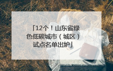 12个！山东省绿色低碳城市（城区）试点名单出炉