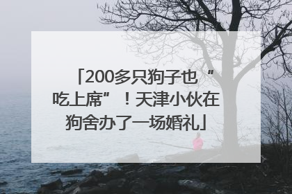 200多只狗子也“吃上席”！天津小伙在狗舍办了一场婚礼