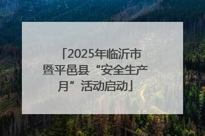 2025年临沂市暨平邑县“安全生产月”活动启动