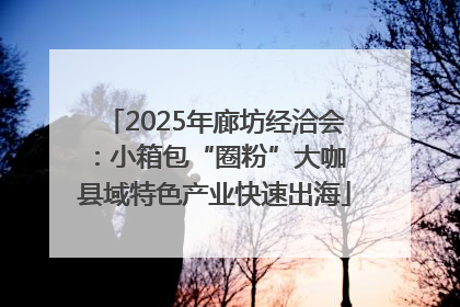 2025年廊坊经洽会：小箱包“圈粉”大咖 县域特色产业快速出海