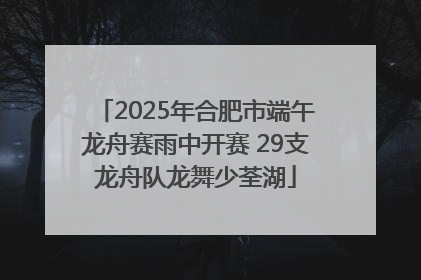 2025年合肥市端午龙舟赛雨中开赛 29支龙舟队龙舞少荃湖