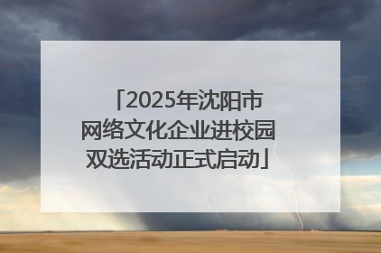 2025年沈阳市网络文化企业进校园双选活动正式启动