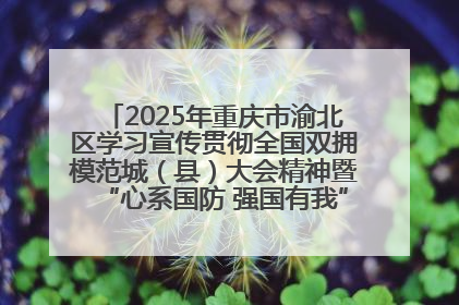 2025年重庆市渝北区学习宣传贯彻全国双拥模范城（县）大会精神暨“心系国防 强国有我”国防教育活动